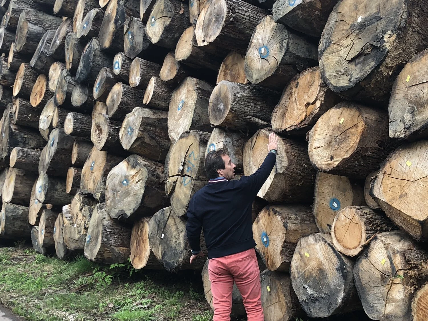 Hombre tocando una pila de troncos apilados de madera.