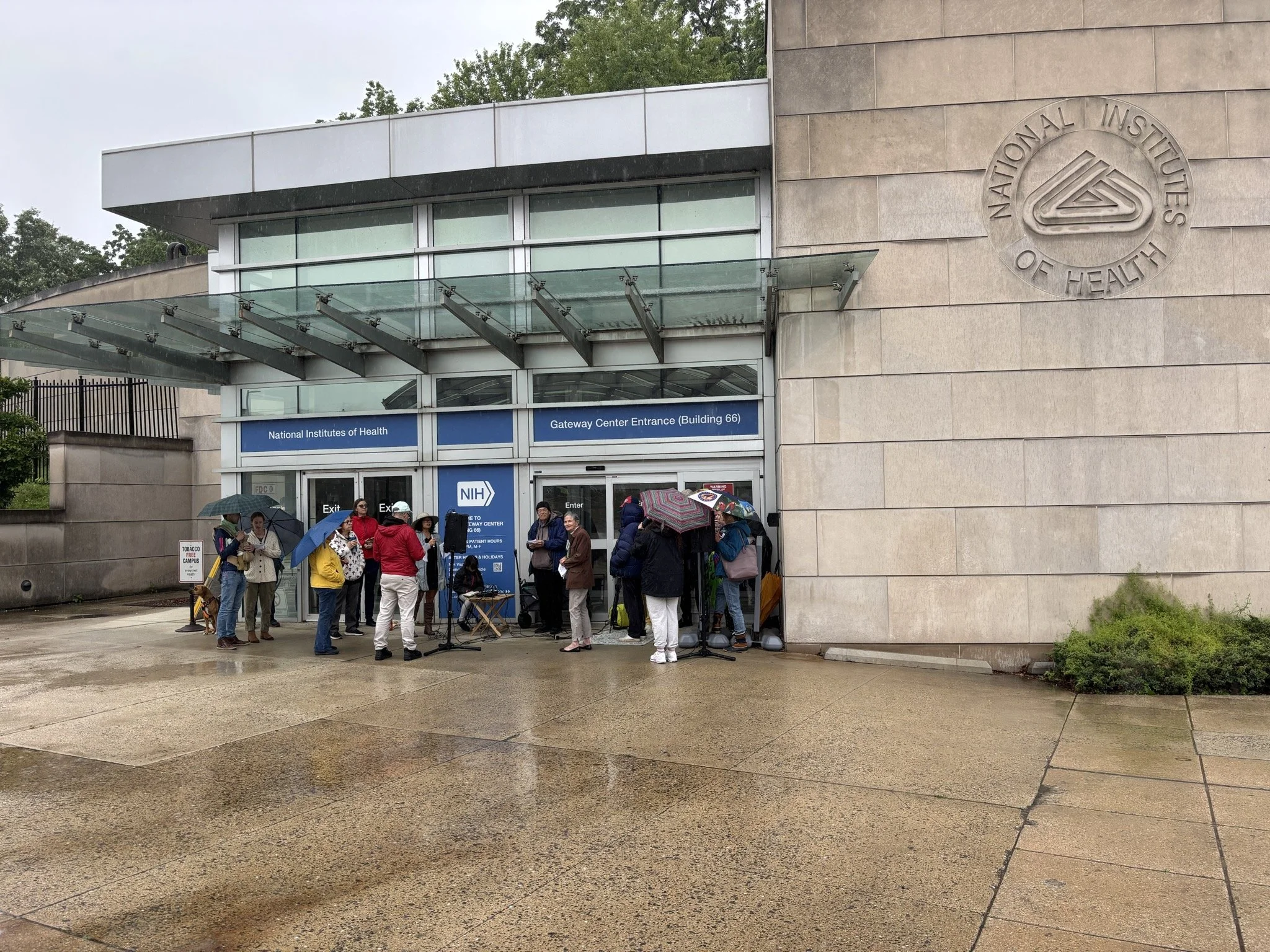 Long shot of vigil crowd gathered under awning in the rain next to stone wall with National Institutes of Health logo