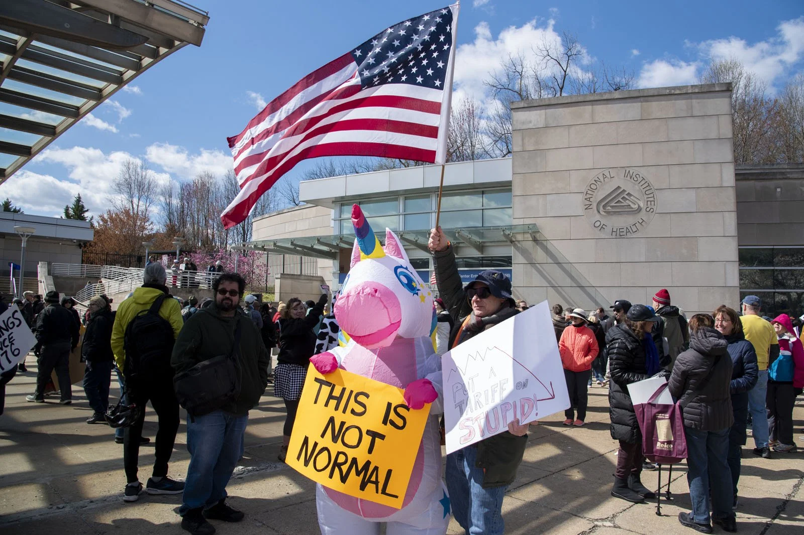 A group of protestors, one dressed as a unicorn and holding a sign saying "This is not normal"