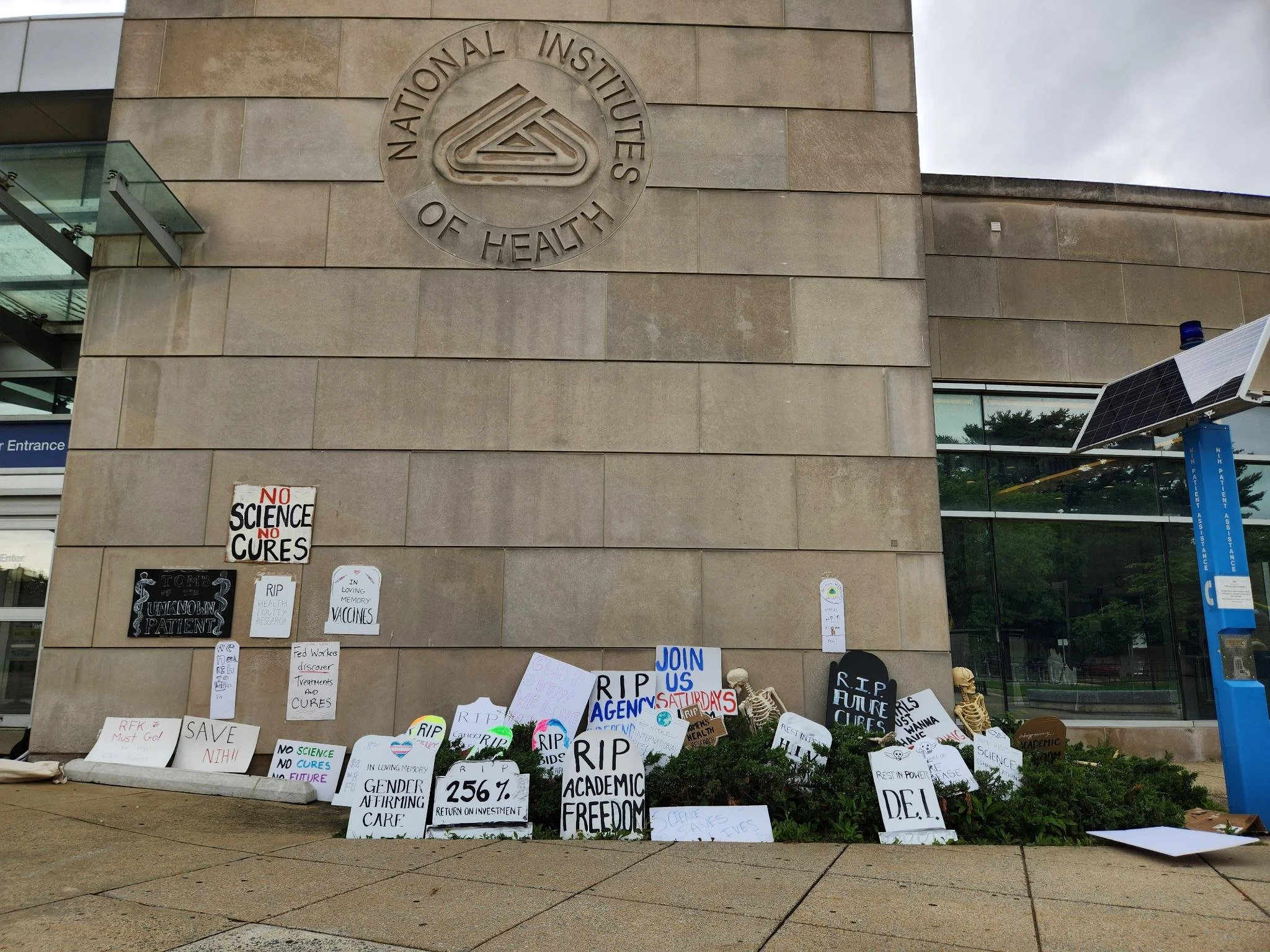 Weekly NIH Vigils