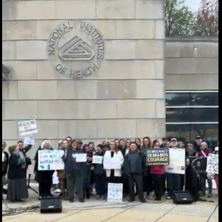 NIH Vigils Newsletter 11/16/2025