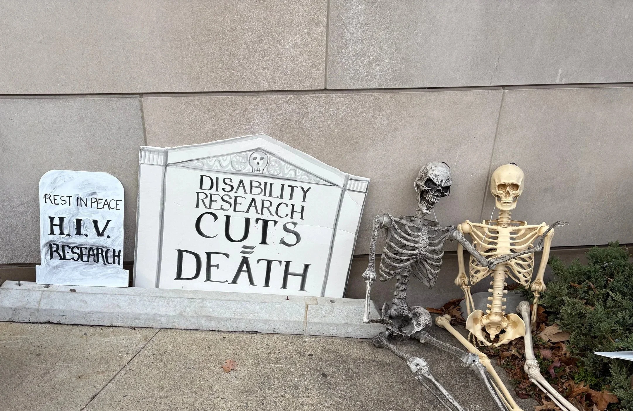Tombstone-shaped protest signs beside two plastic human skeletons