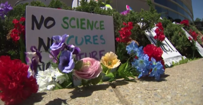 Flowers and protest signs sitting on the ground