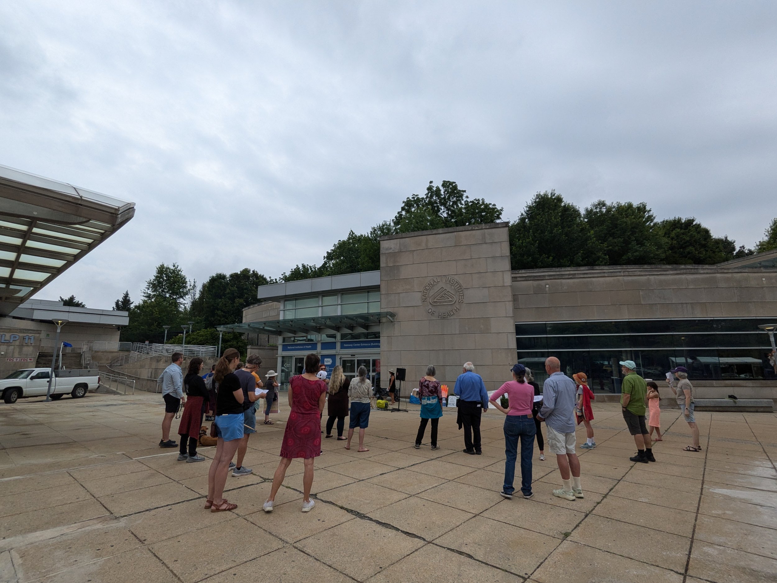 The spectators at an NIH vigil