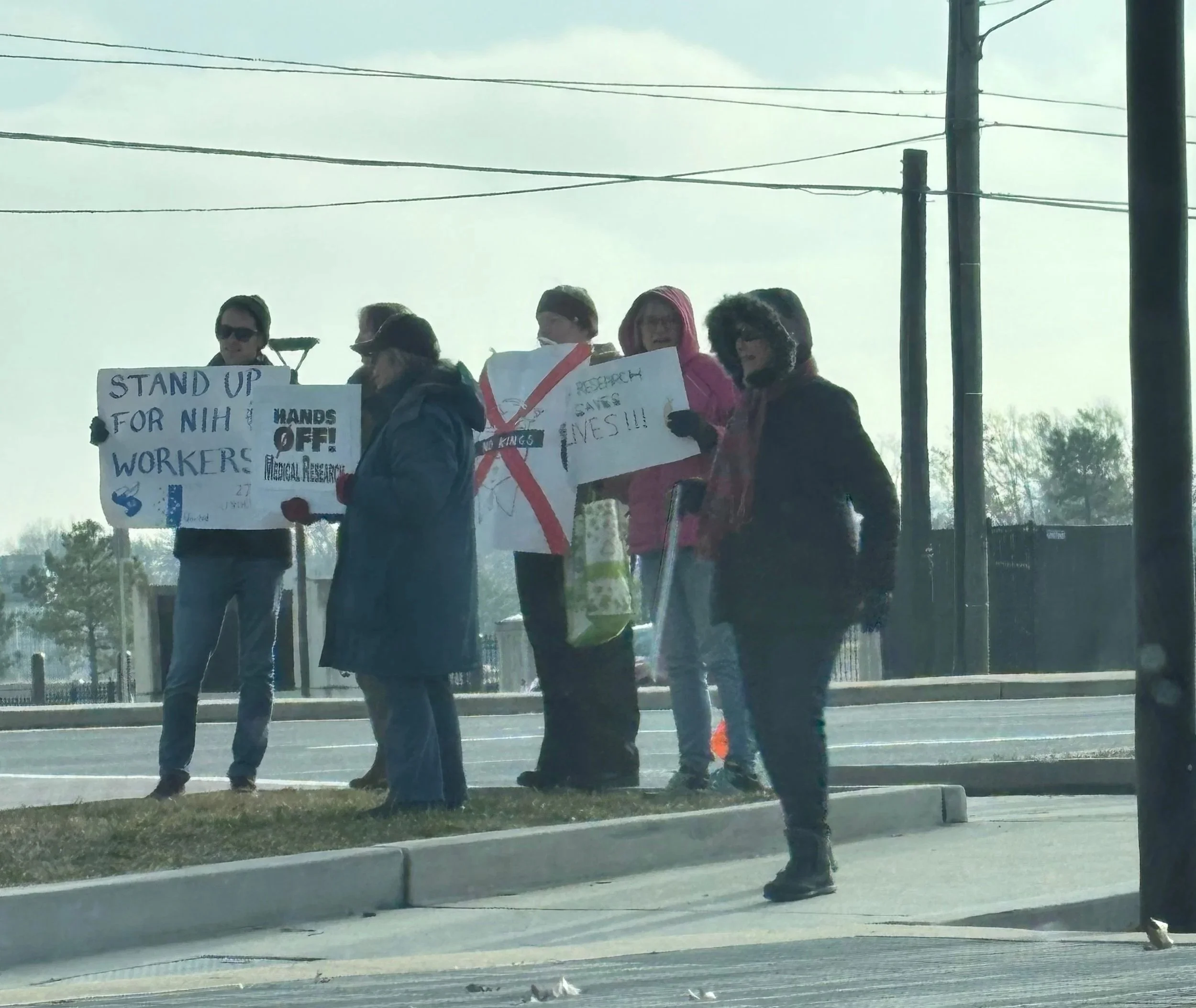 Roadside protestors holding pro-science signs