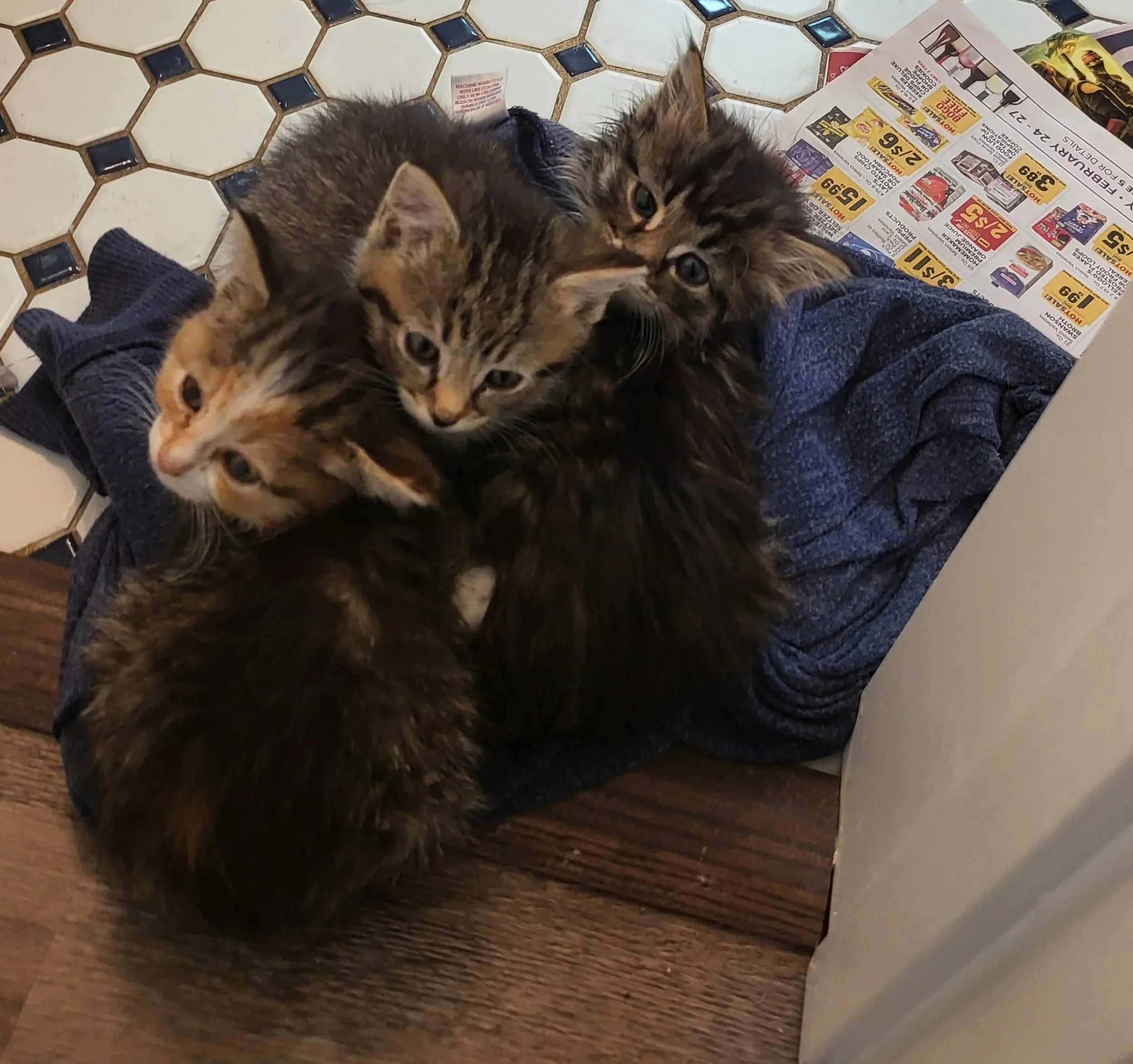 Amy Baxter, SBIR Recipient