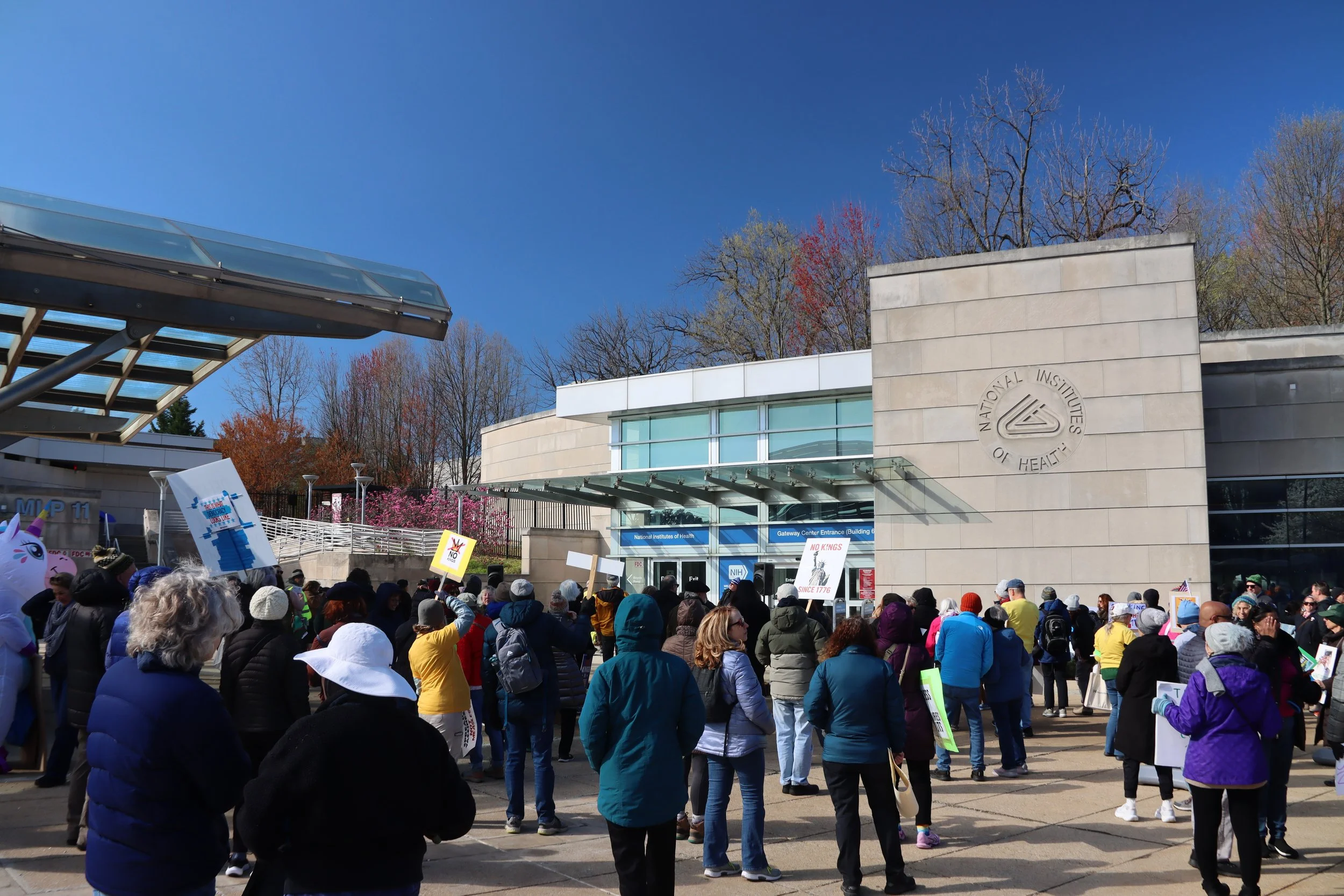 The crowd at the NIH vigil
