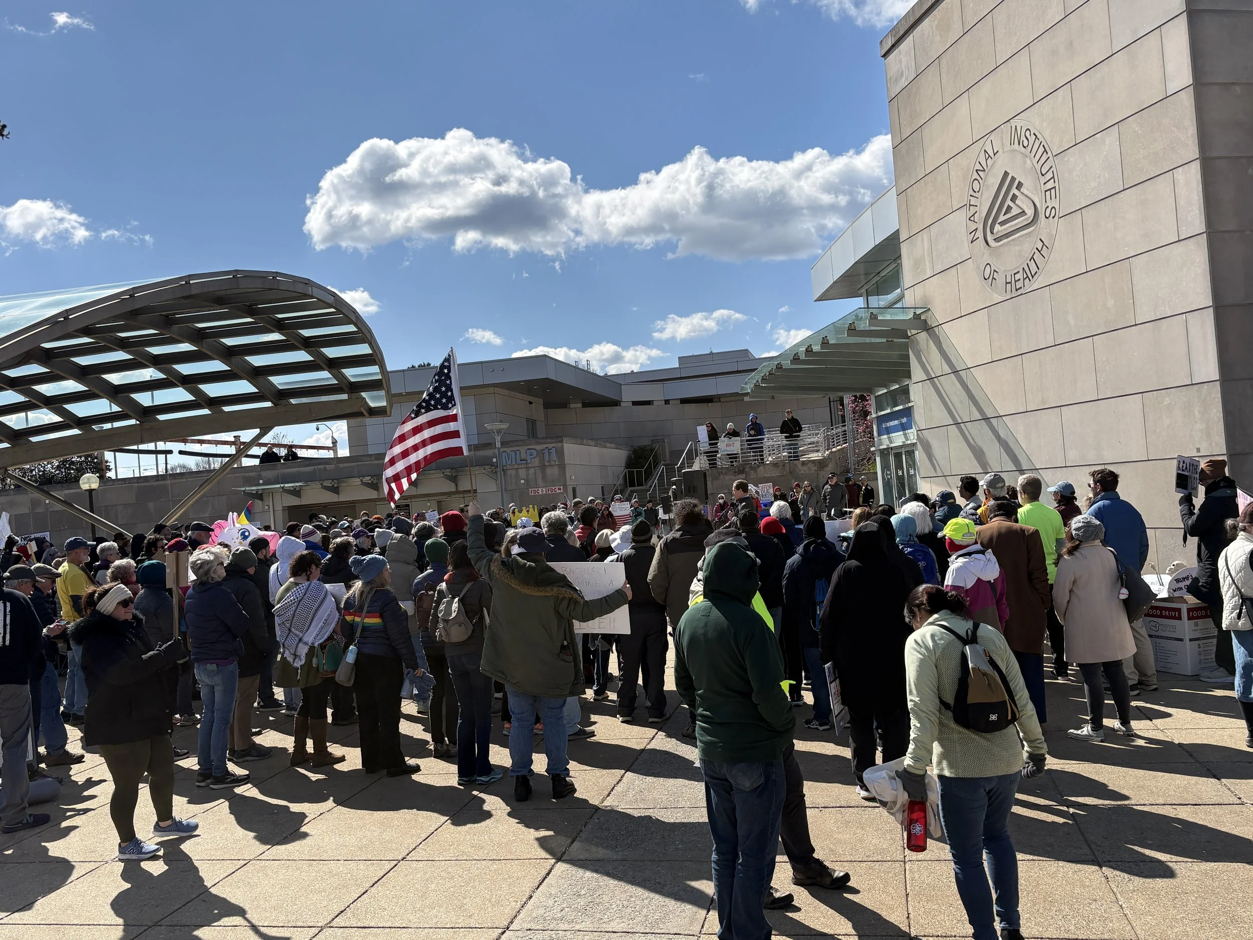 The crowd of people attending the rally