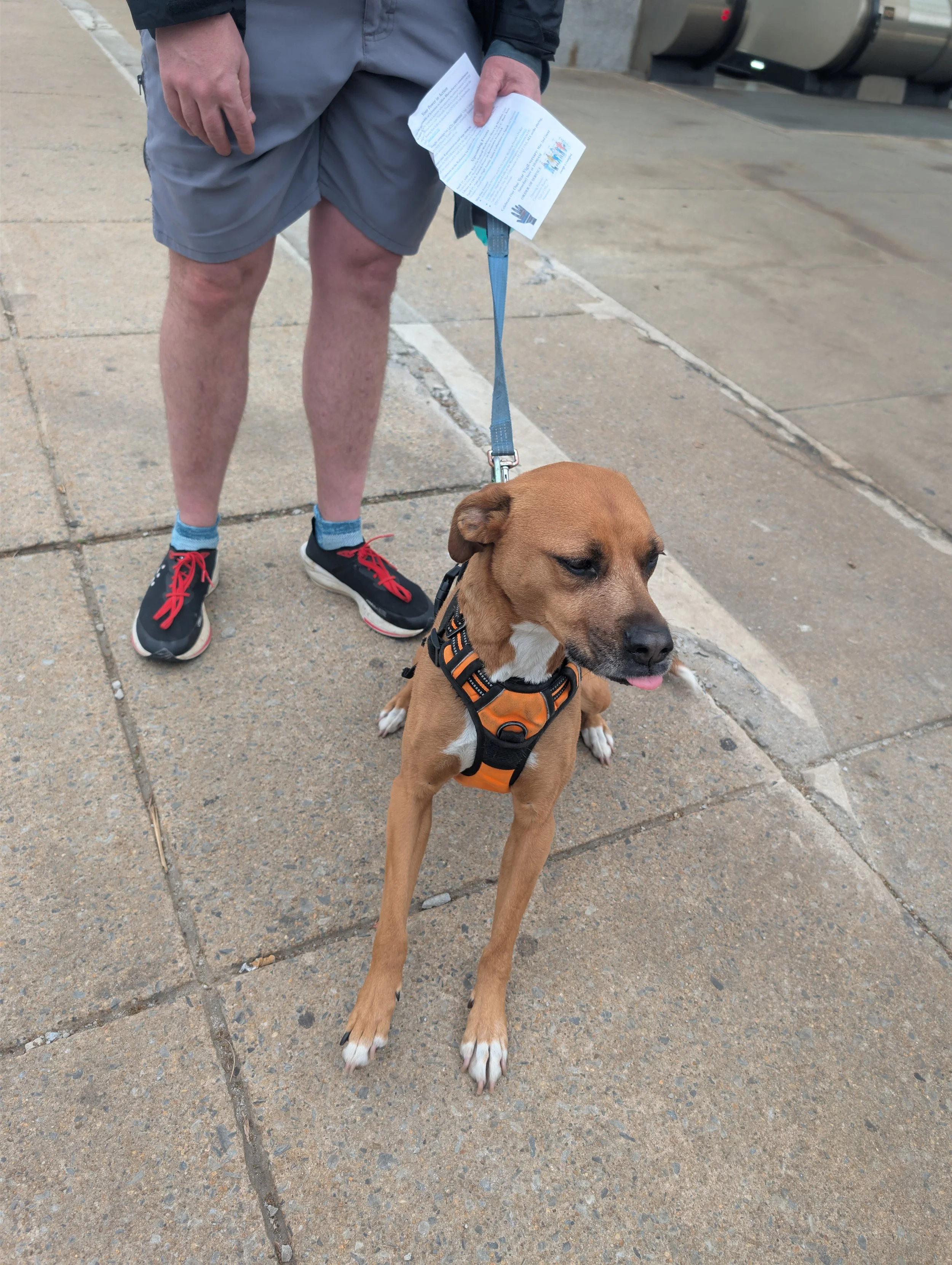 A person with their dog at the vigil