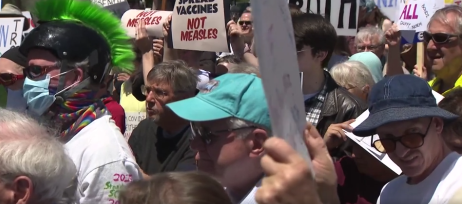 The crowd at the rally