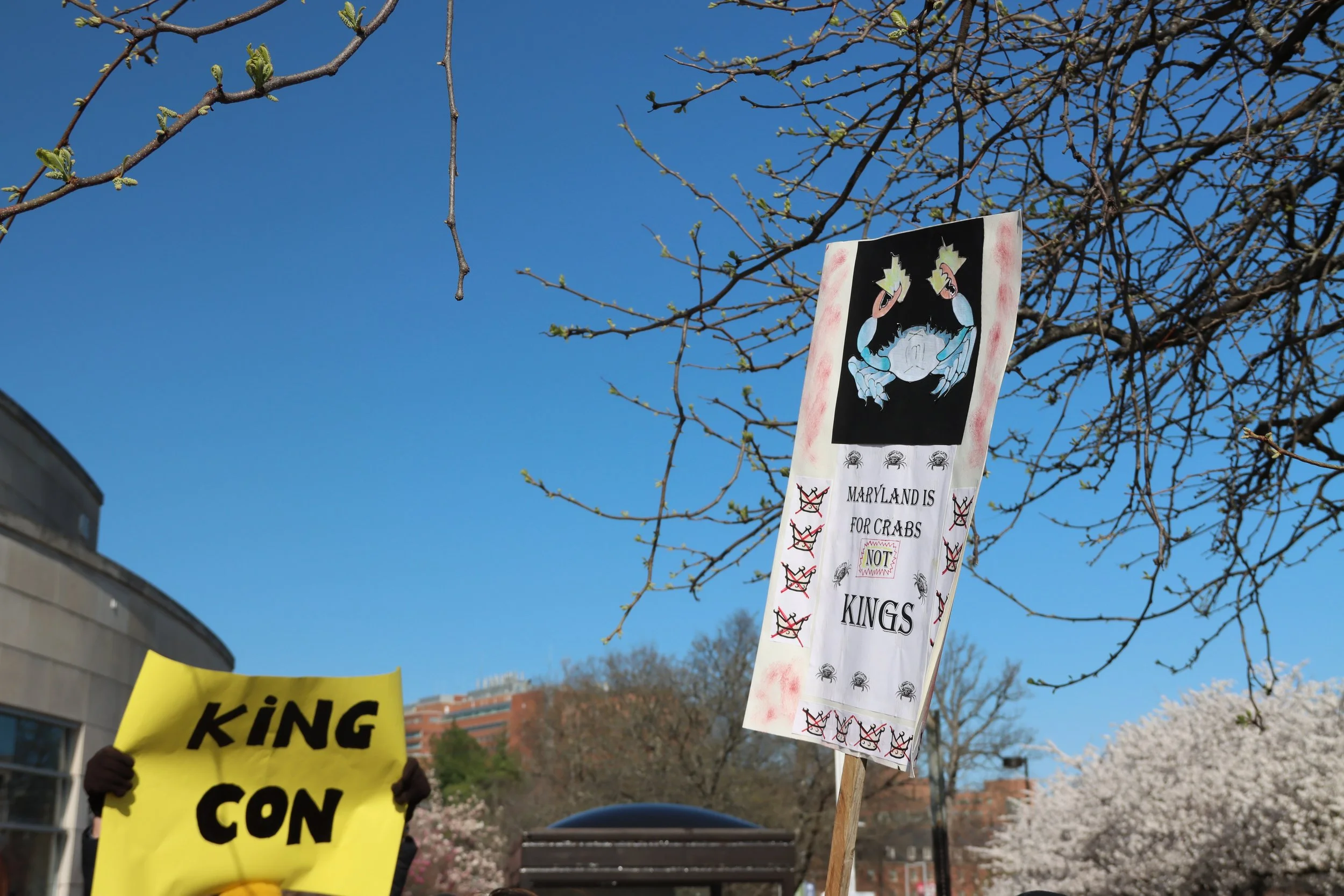 Protest signs saying "King con" and "Maryland for crabs not kings"