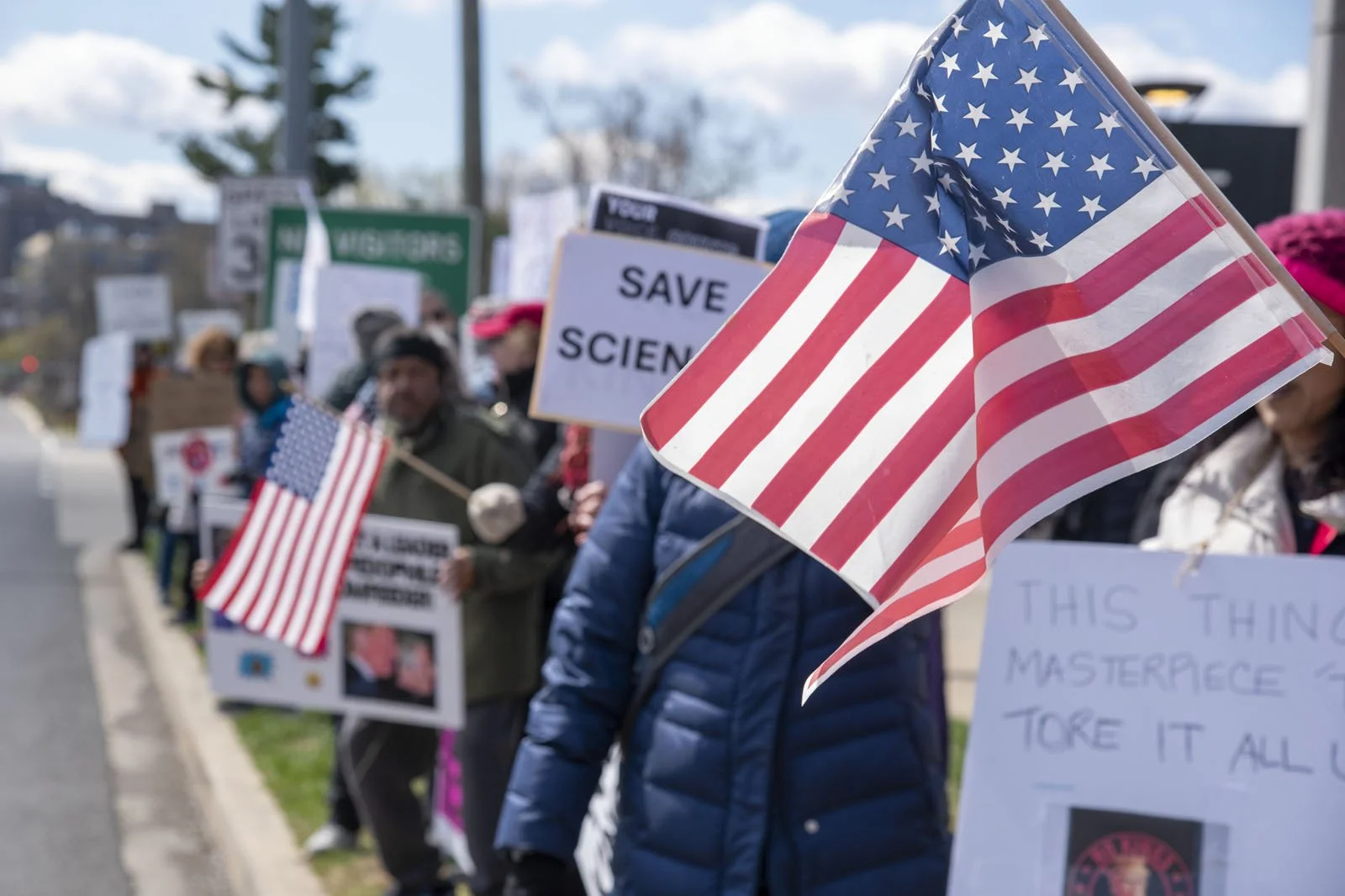 American flags among protest signs
