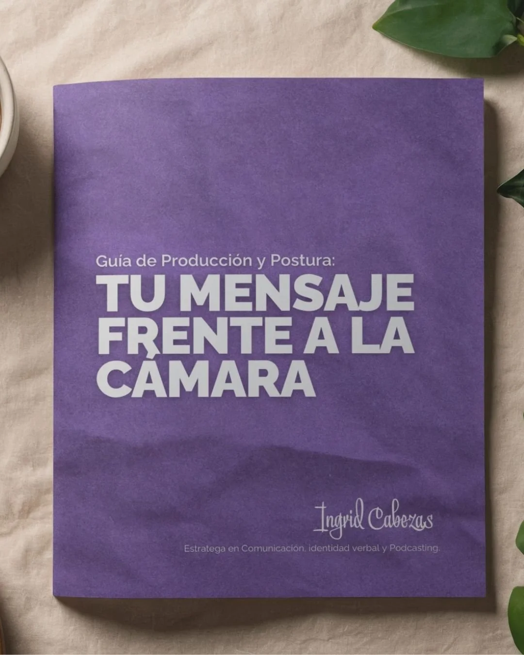 GUÍA :  Tu mensaje frente a cámara