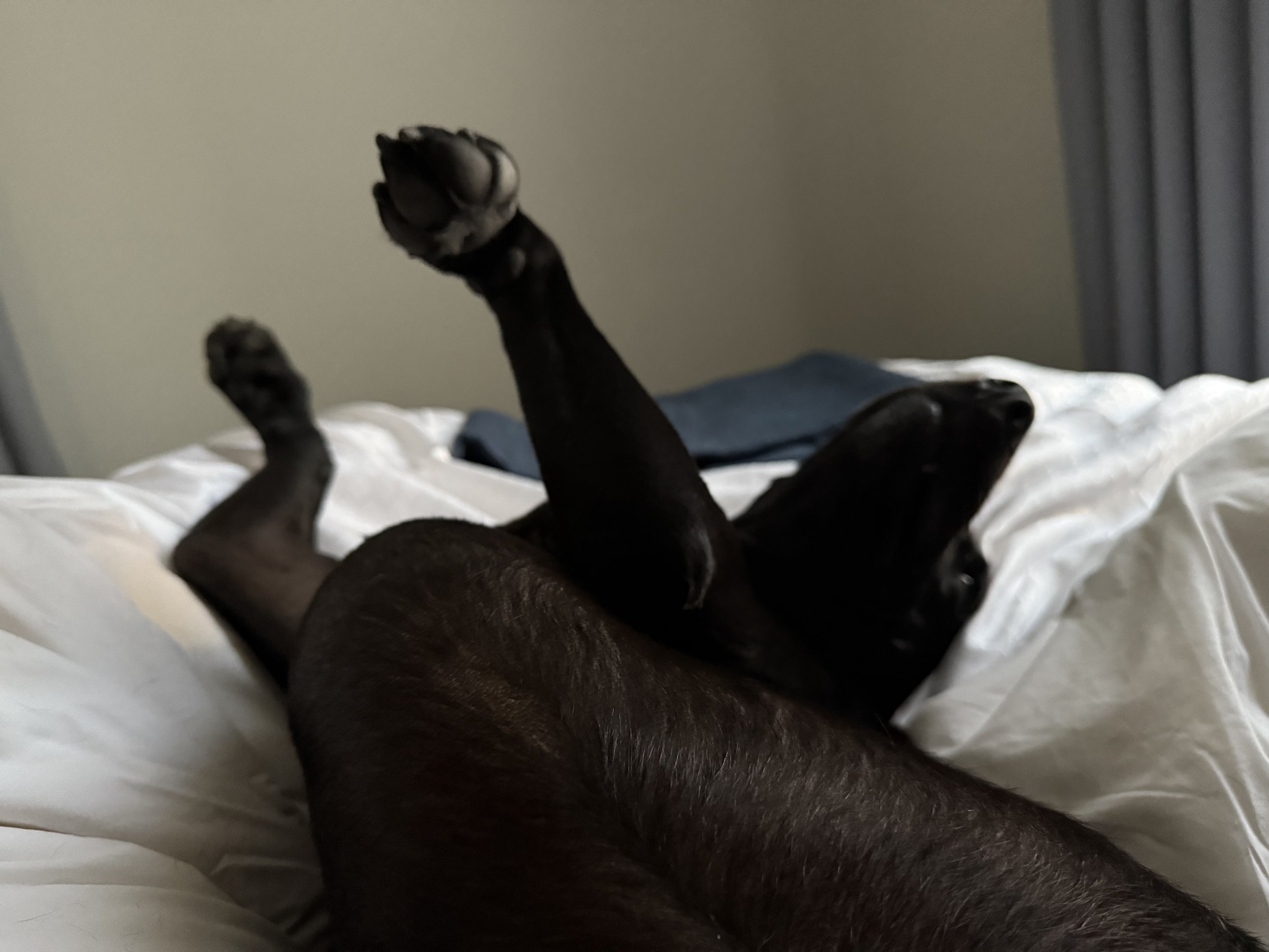 Lots to Catch Up On!