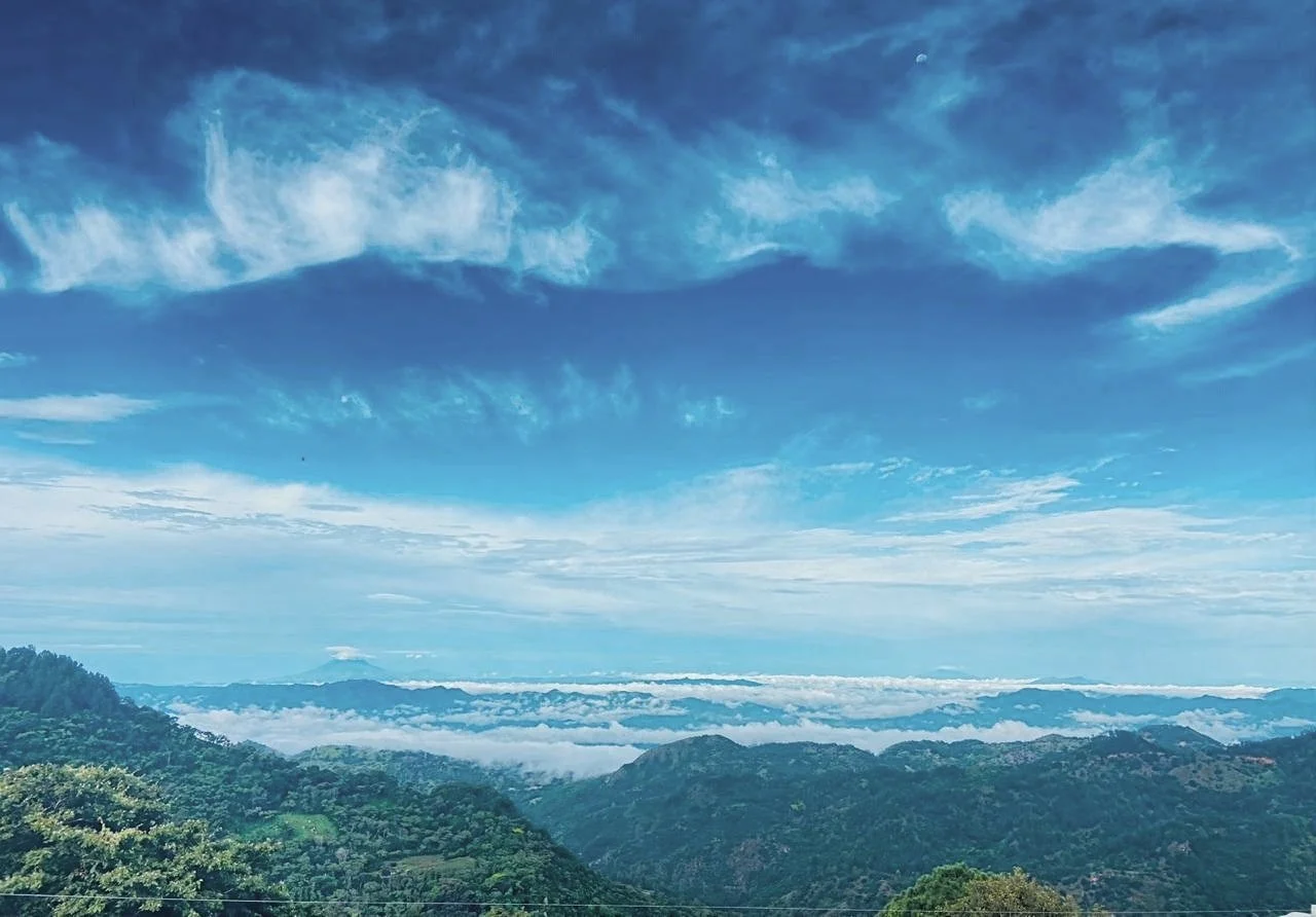 WhatsApp Image 2025-06-23 at 10.42.08 AM.jpg