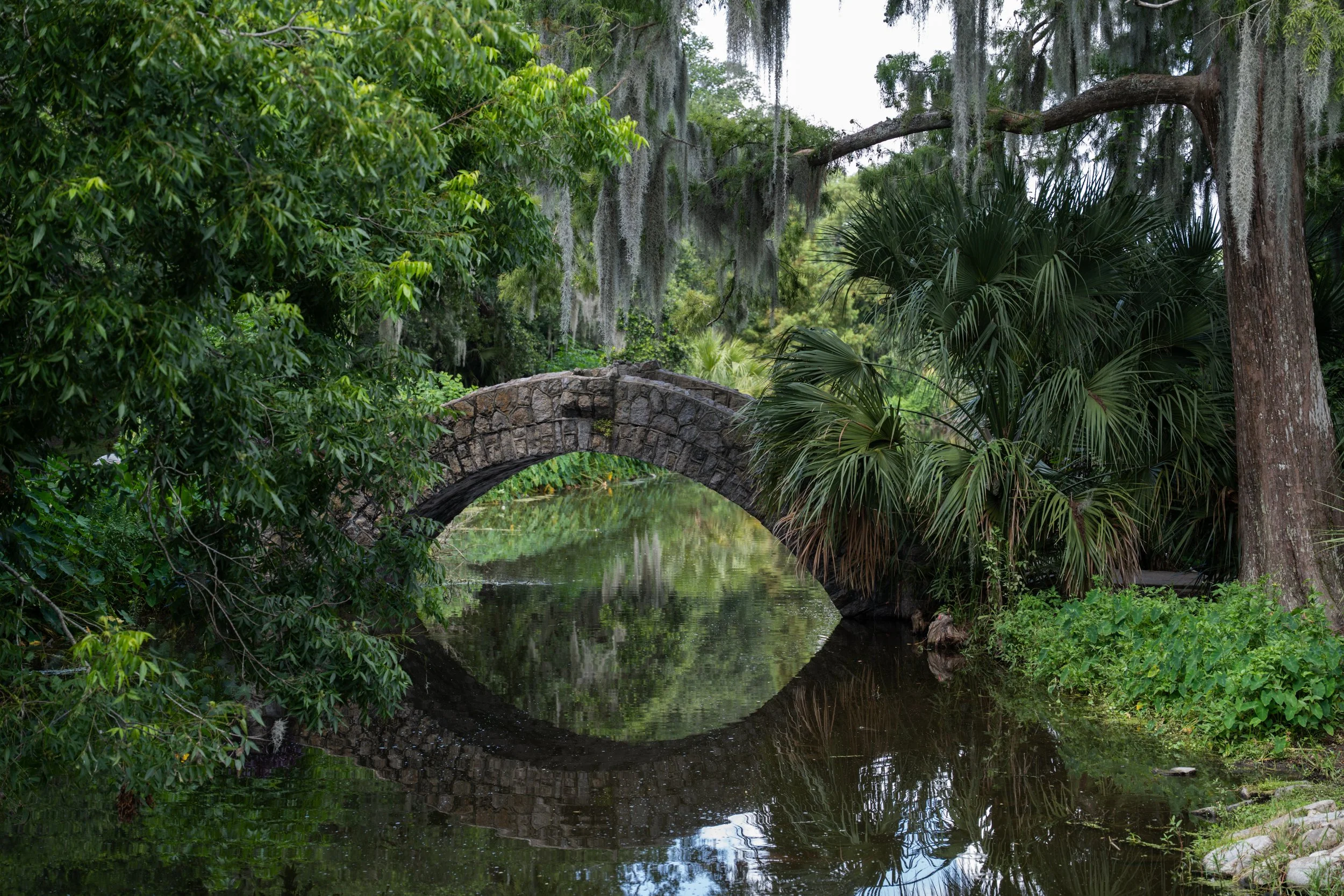 🌿 Rooted in Time: A Quiet Stroll Through City Park & Lake Lawn Metairie Cemetery, New Orleans