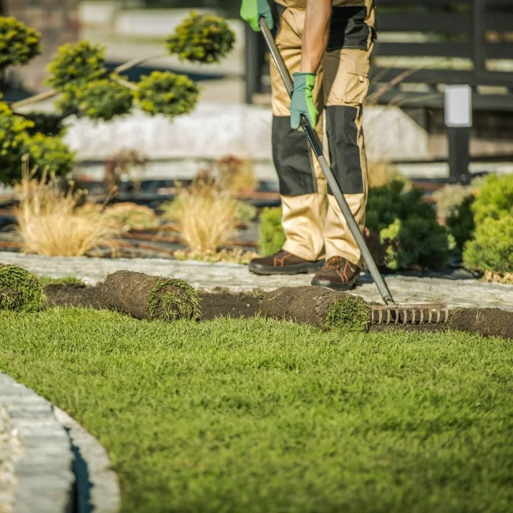 landscaping-contractor-installing-sod-for-new-lawn--e1715313313269-1024x1024.jpg