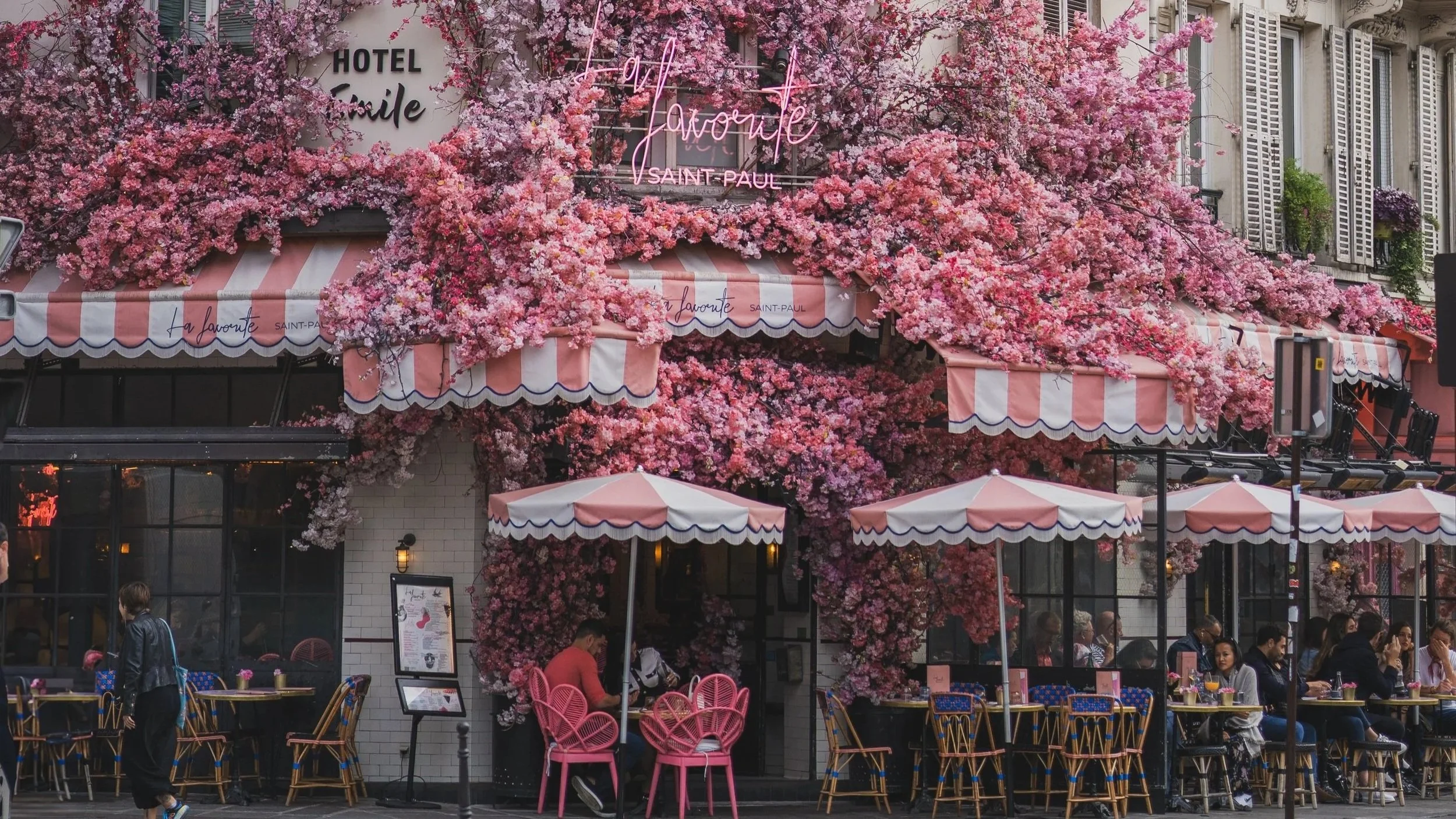 Weekly Notebook: Why Spring Always Brings Me Back to Maple Grove