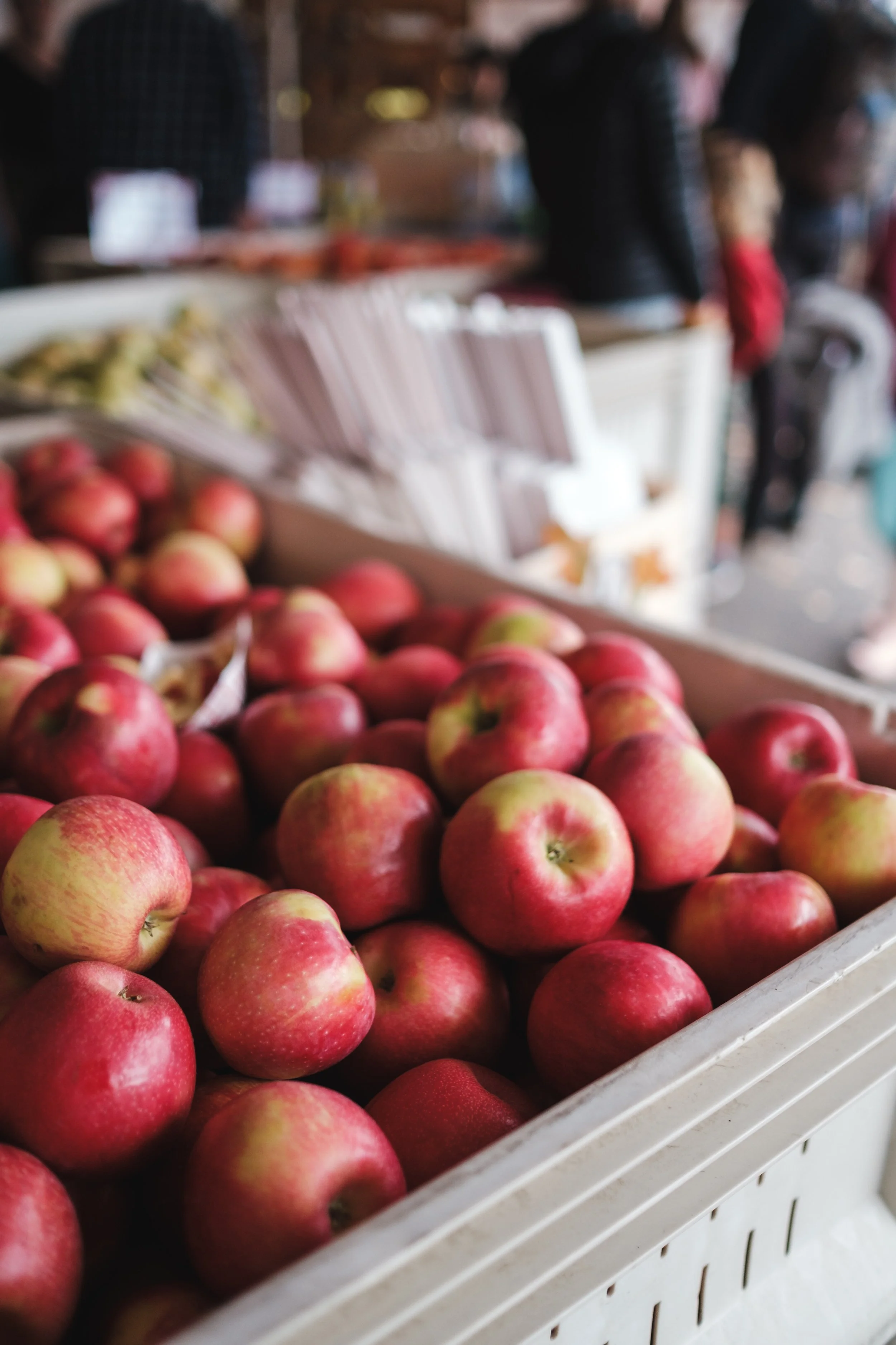HoodRiverHarvestFest-12.jpg