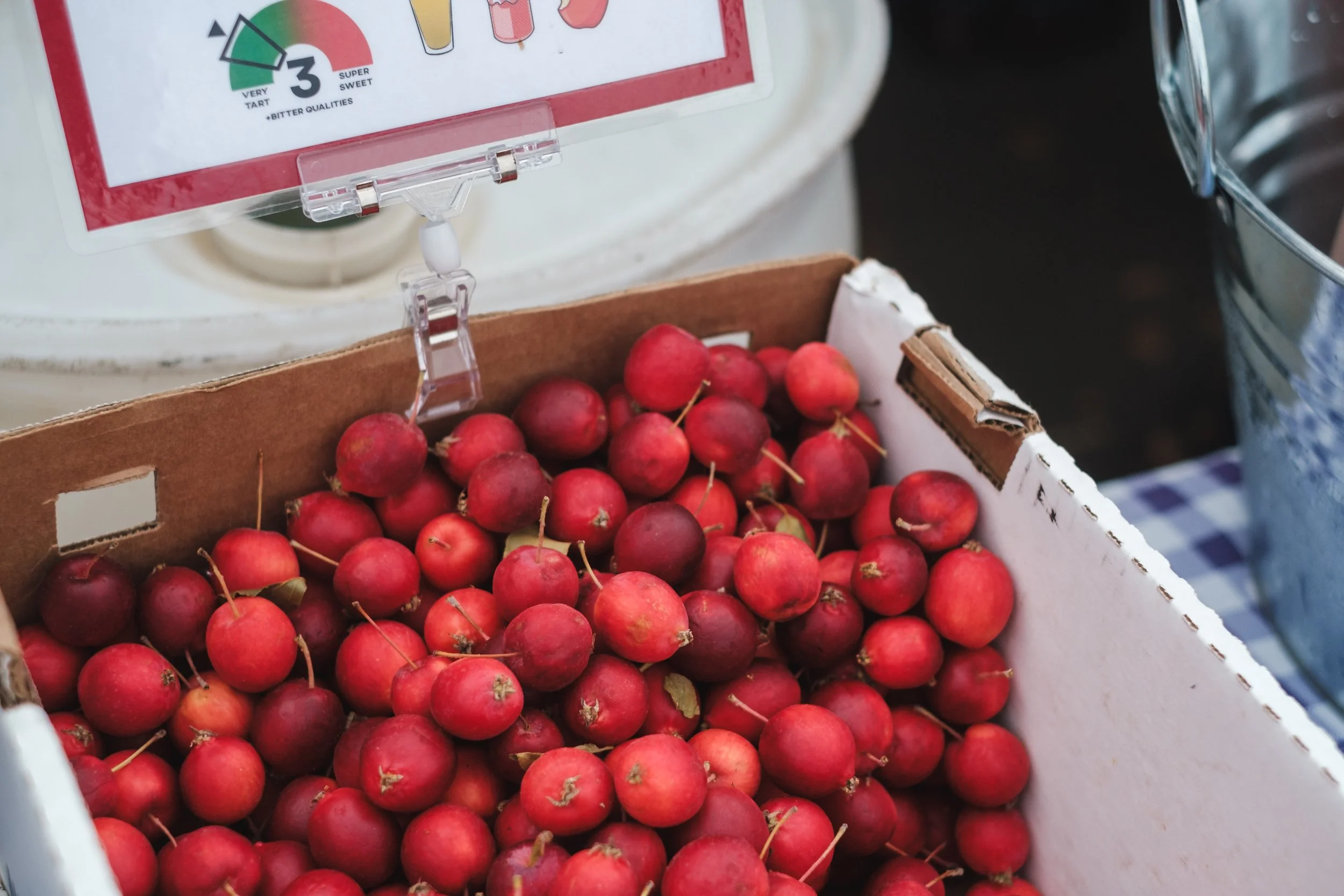 HoodRiverHarvestFest-311.jpg