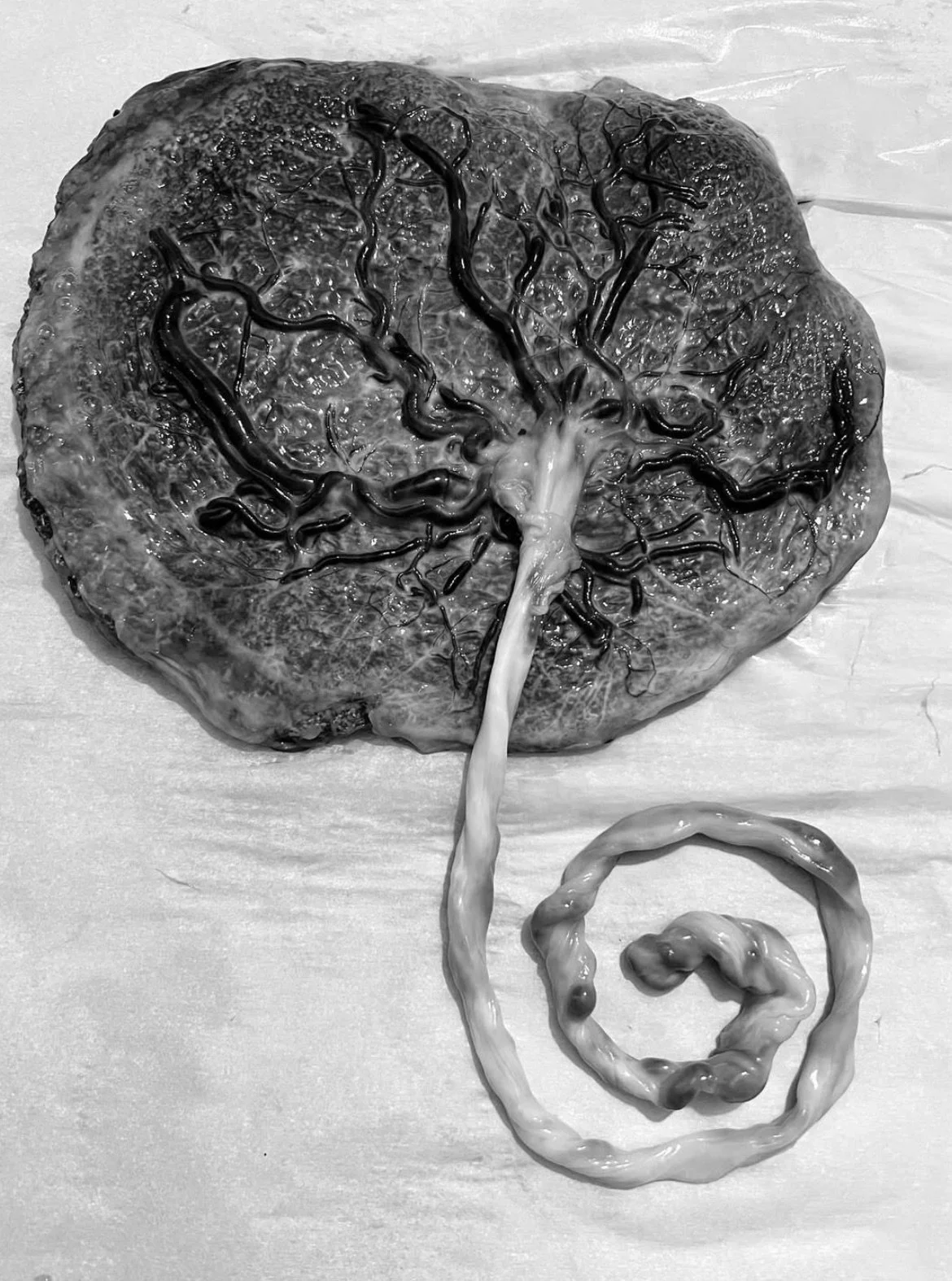 Screenshot 2025-06-21 at 6.09.23 PM.jpeg