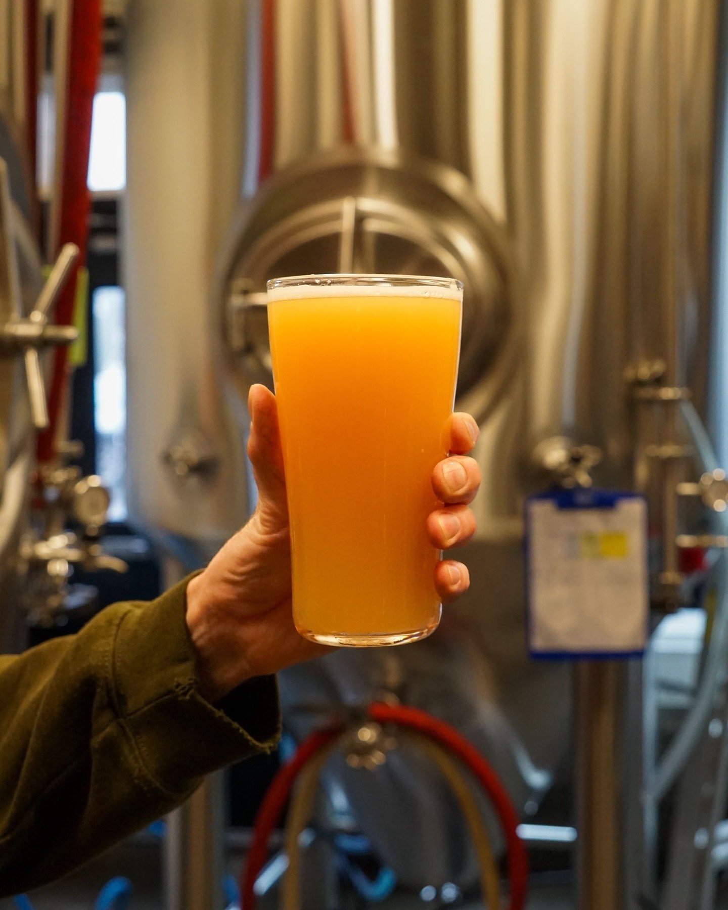 Chainsaw - Hazy and golden, bursting with ripe mango, citrus peel, and a touch of peach. Lush mouthfeel from oats, softly bitter finish. Juicy, dank, and bold&mdash;Citra AND Rakau shine.⁠
⁠
#yyj #yyjdrinks #yyjbrews #victoria #viewroyal #vancouveris