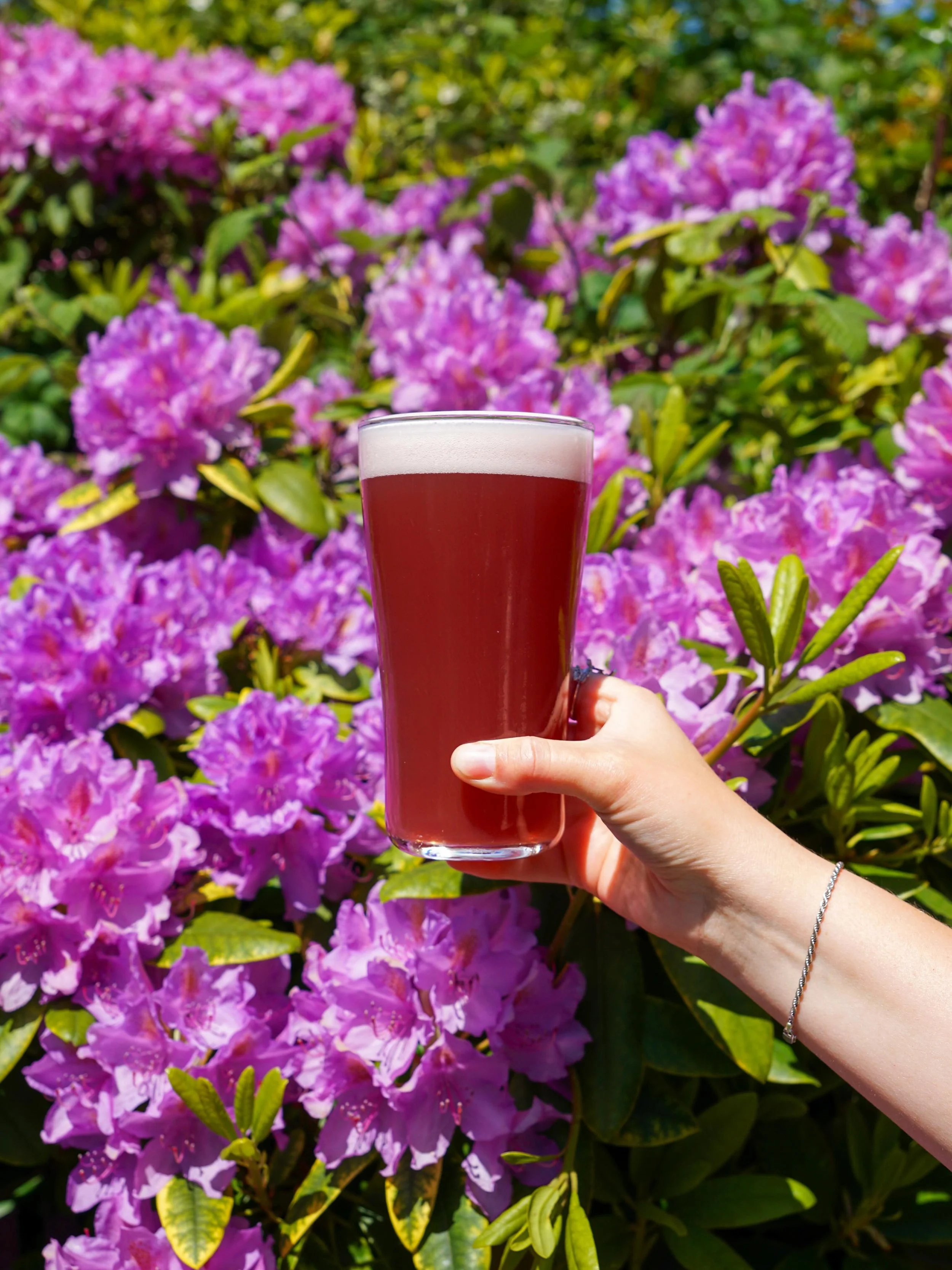The perfect patio companion is back!

Blackberry Session Ale &mdash; bright, jammy, and way too easy to drink. Made with real blackberry pur&eacute;e.

Available on draft and in cans!