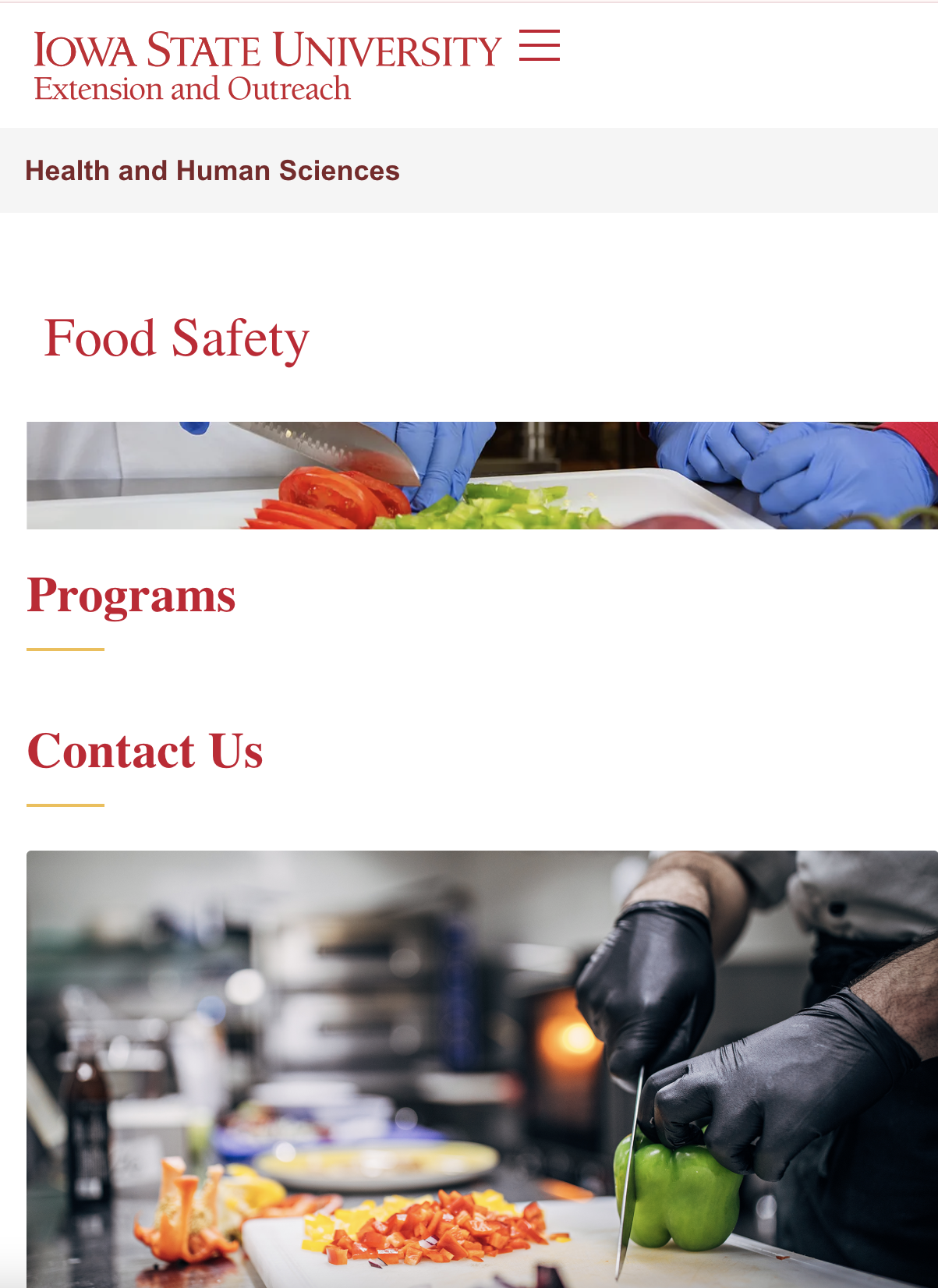 Seguridad alimentaria y nutrición
Ofrece programas sobre seguridad alimentaria, conservación de alimentos, cocinas comunitarias, planificación de comidas y preparación doméstica segura / Food Safety and Nutrition
Offers programs on food safety, food 