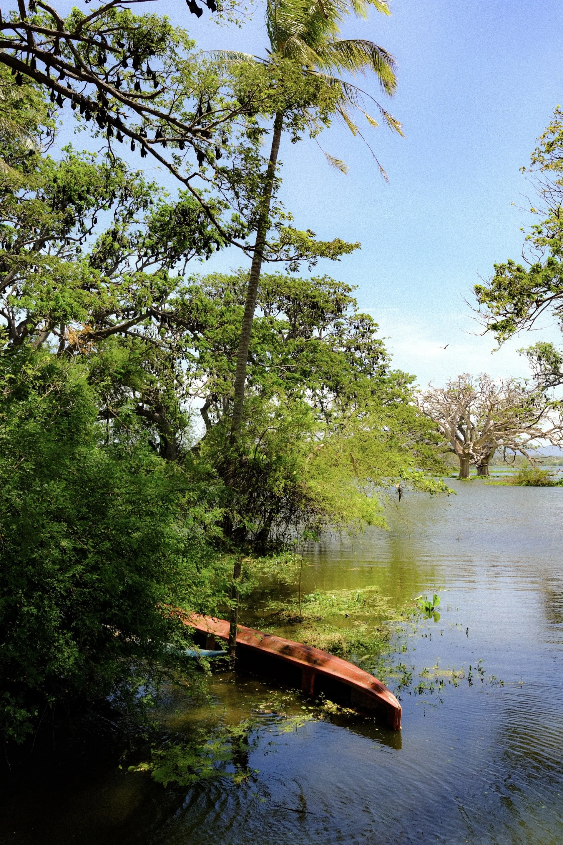 DSCF9426.jpg