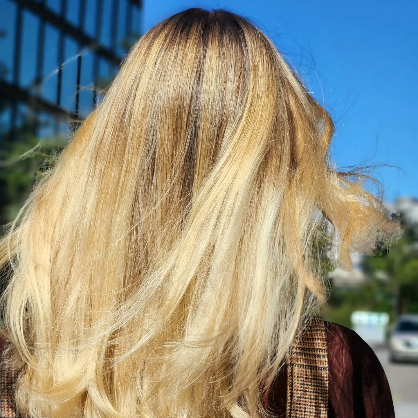 #avedastudent #avedanyc #avedacolor #avedablonde #balayagehighlights