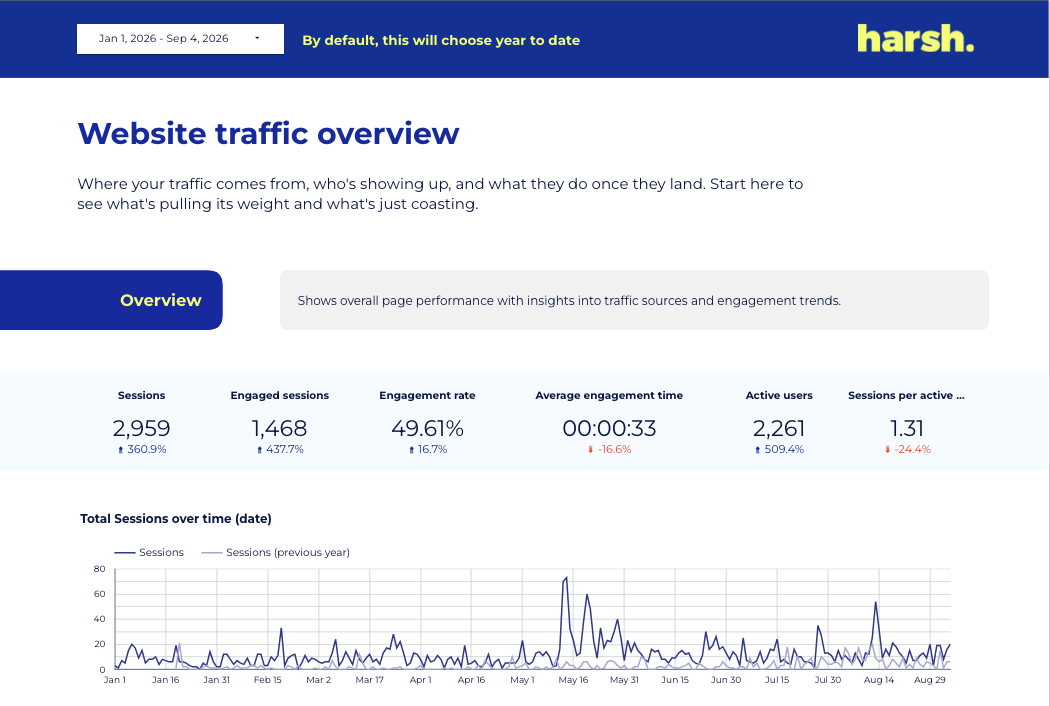 Website traffic overview page with sessions, engagement rate and a sessions-over-time chart