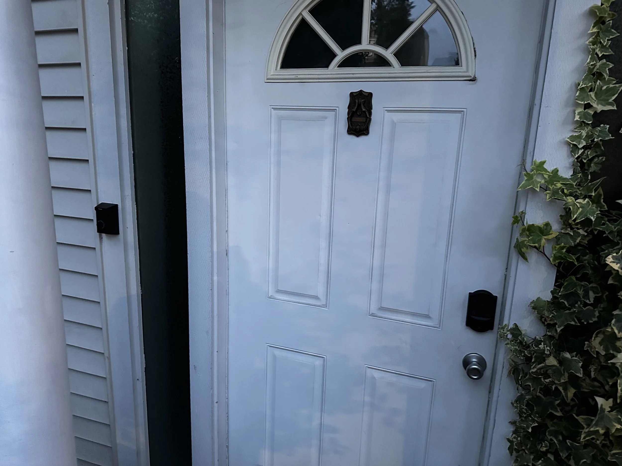 White front door with semi-arched window, black mailbox, black doorbell, and door handle, surrounded by beige siding and ivy on the right.