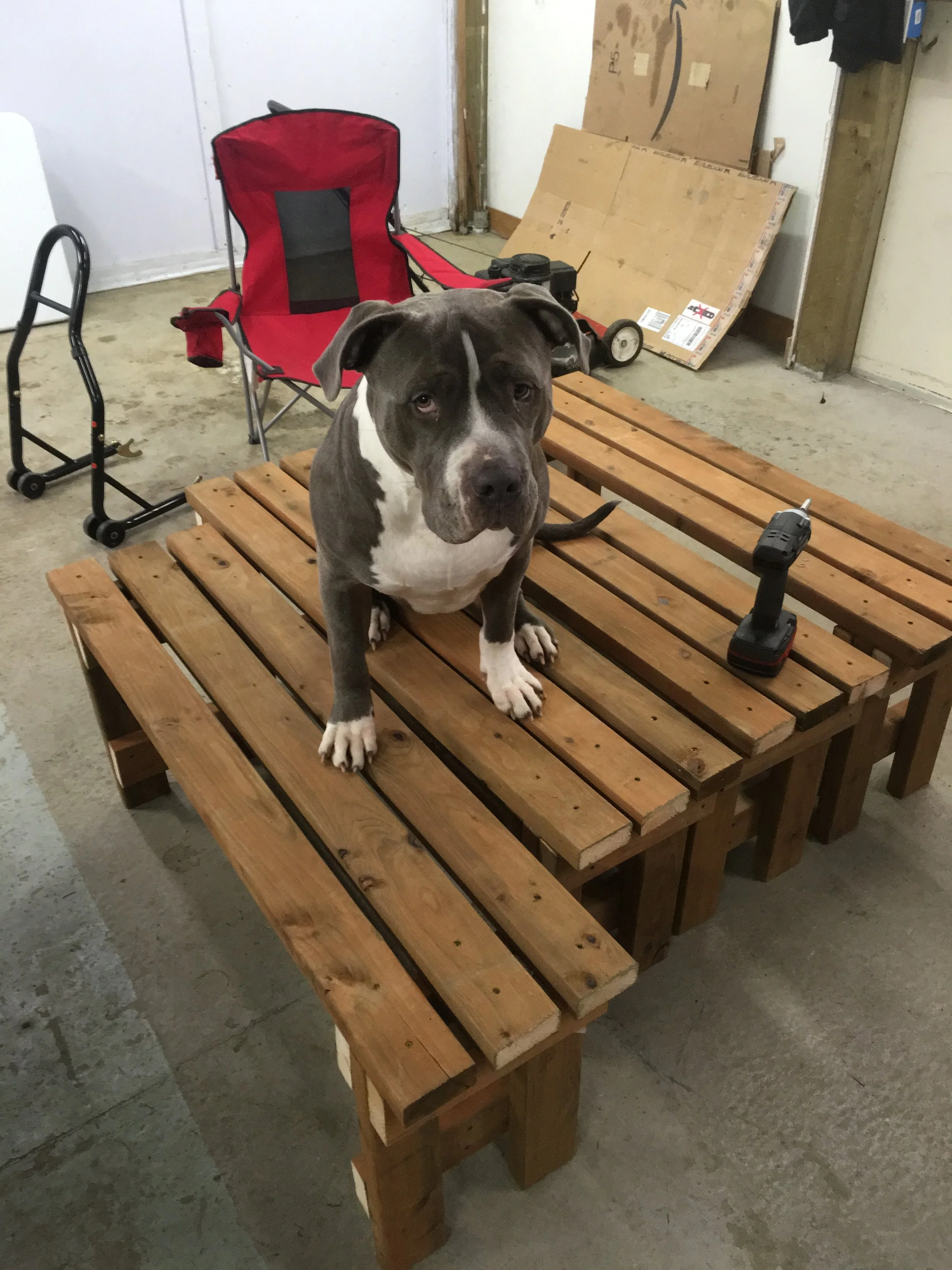 Things weren't too ruff for a quick set of benches around the fire pit.