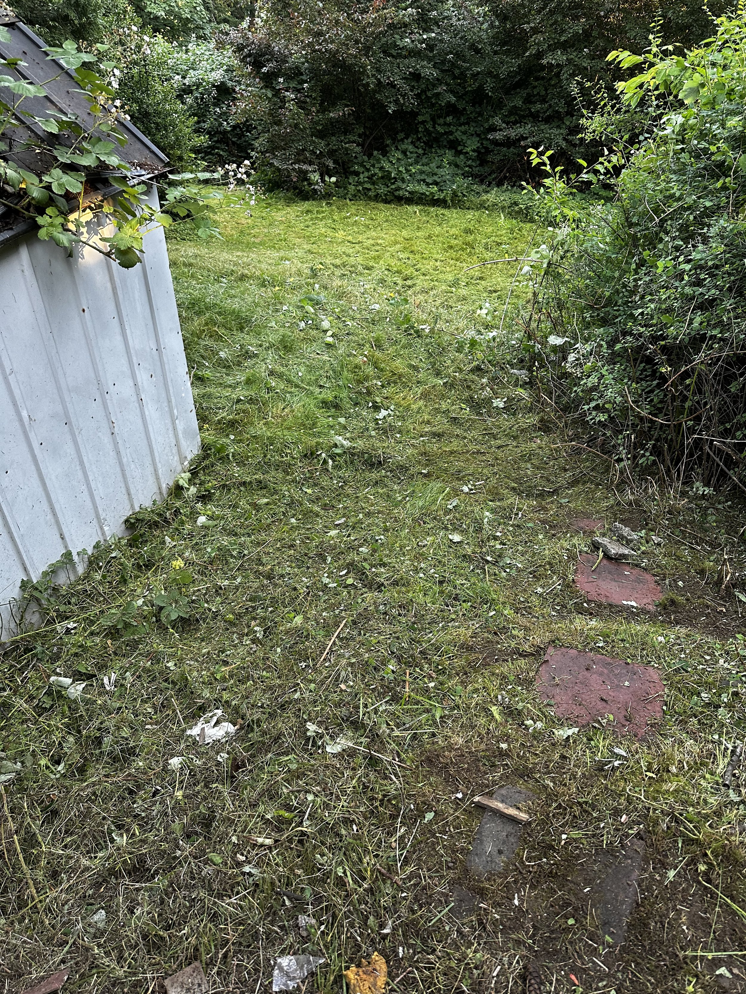 Light lawn and property clearing