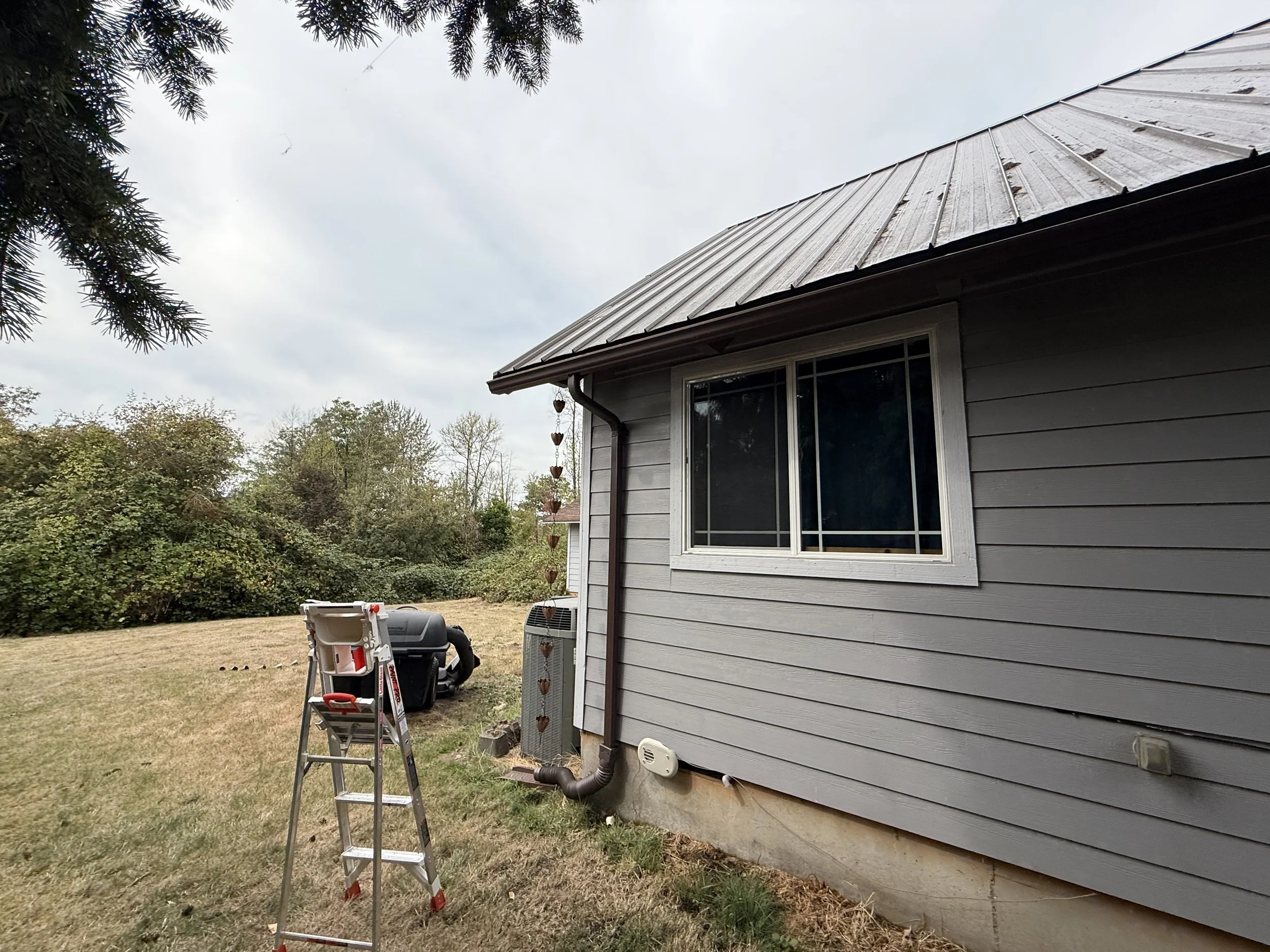 Side of a house with gray siding, a window, and a metal roof. There is a ladder and some gardening equipment outside, with trees in the background.