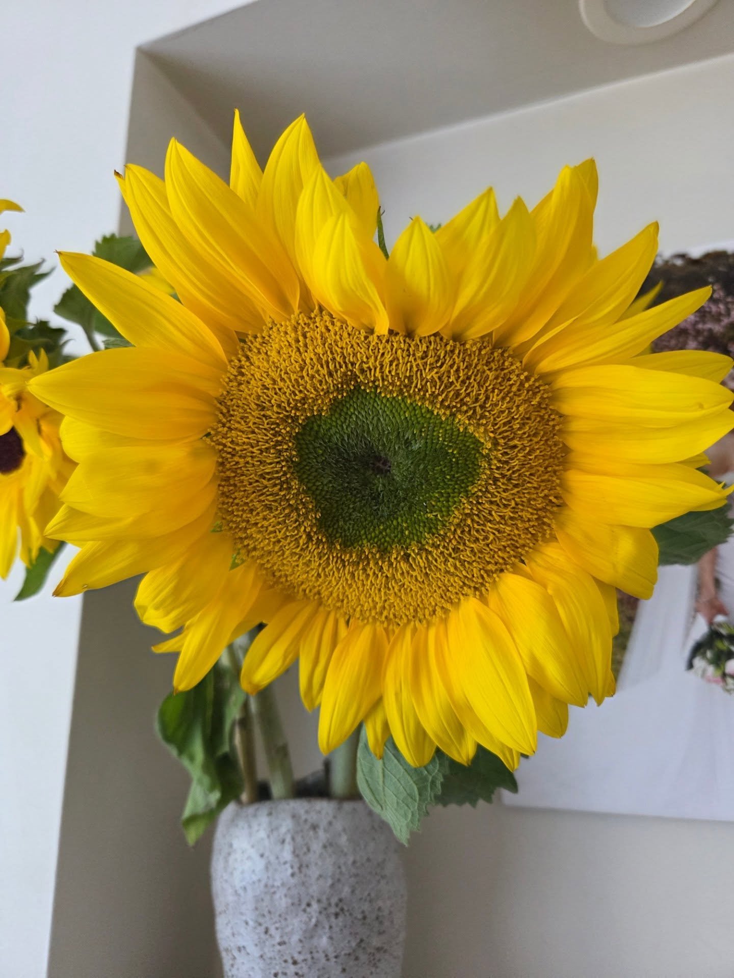 Inspired by my beautiful friend Yana @oakandhaven ~ I want to share what Yana would call, "Golden Moments".

I often call them glimmers ✨️

Here are mine from the last few days. May this simple post bring you as much joy, as these posts bri