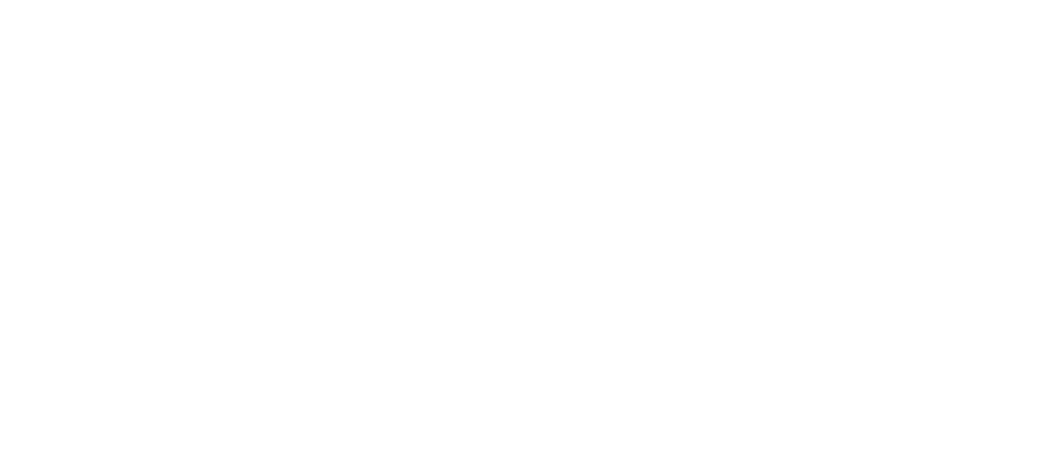 Bon Matin - The Necessary &amp; The Extraordinary
