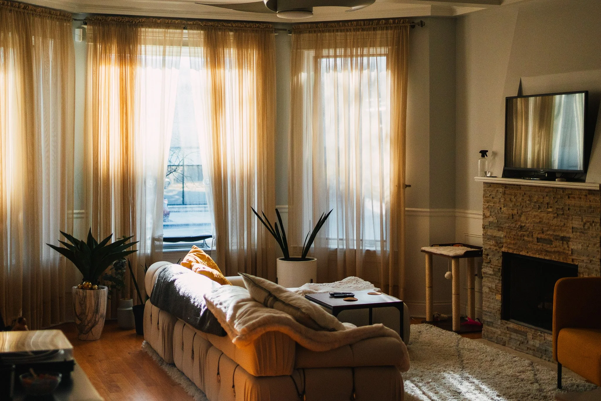 Sunlight falling through windows into an interior