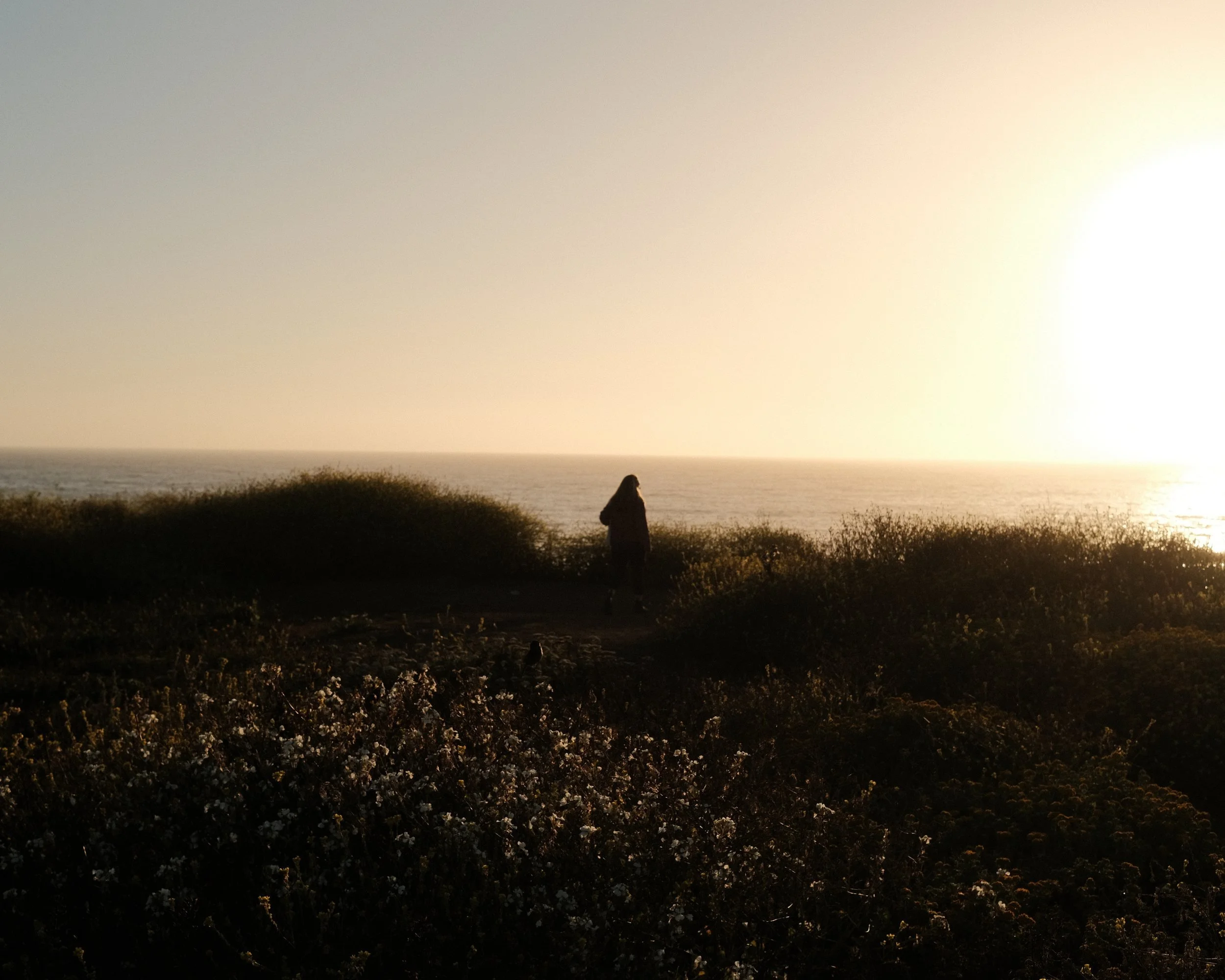 Silhouette overlooking the ocean in golden light