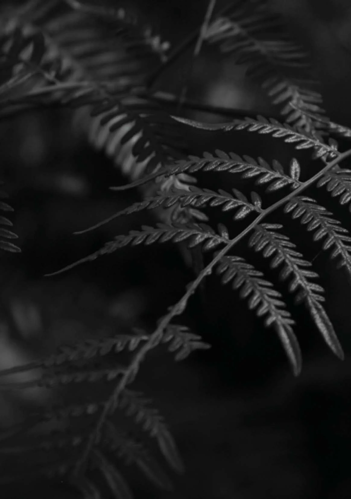 DES206 - Task 3 - Portfolio Project - Marley Polowyj-Stephen [1096267]_Page_30.jpg