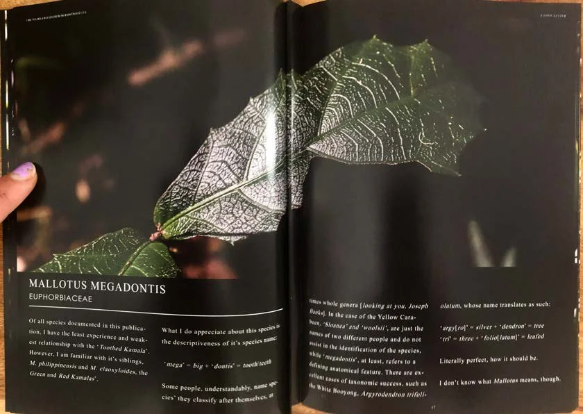 DES212 - TASK 2 - THE FUTURE OF PRINT - MARLEY POLOWYJ-STEPHEN - 1096267_Page_16.jpg