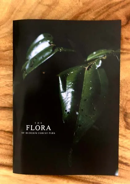 DES212 - TASK 2 - THE FUTURE OF PRINT - MARLEY POLOWYJ-STEPHEN - 1096267_Page_05.jpg