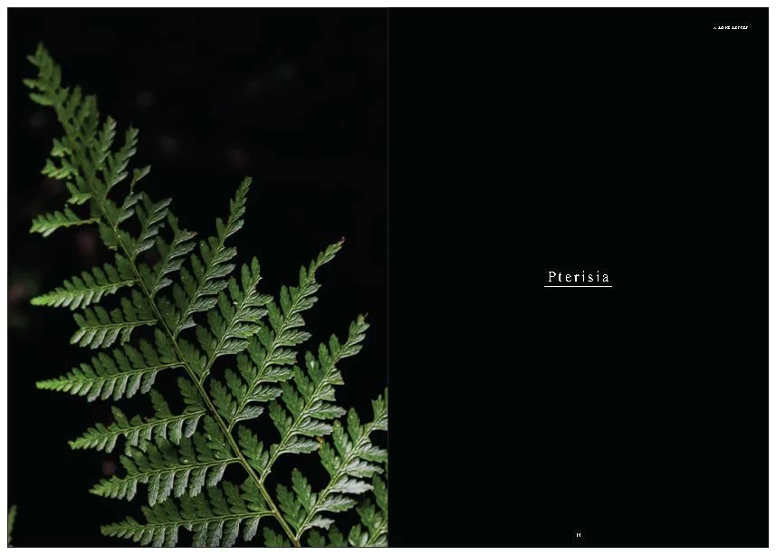 DES212 - TASK 2 - THE FUTURE OF PRINT - MARLEY POLOWYJ-STEPHEN - 1096267_Page_61.jpg