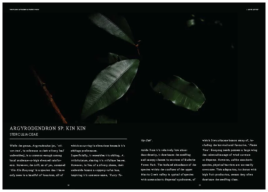 DES212 - TASK 2 - THE FUTURE OF PRINT - MARLEY POLOWYJ-STEPHEN - 1096267_Page_48.jpg