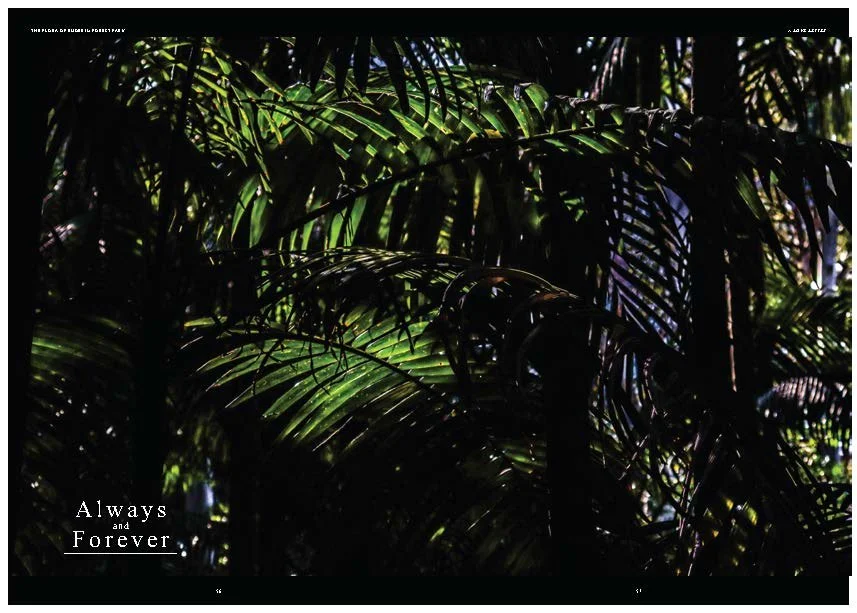 DES212 - TASK 2 - THE FUTURE OF PRINT - MARLEY POLOWYJ-STEPHEN - 1096267_Page_70.jpg