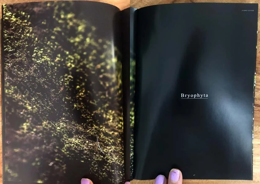 DES212 - TASK 2 - THE FUTURE OF PRINT - MARLEY POLOWYJ-STEPHEN - 1096267_Page_31.jpg