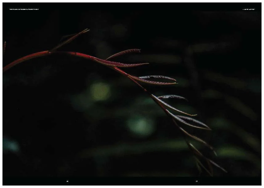 DES212 - TASK 2 - THE FUTURE OF PRINT - MARLEY POLOWYJ-STEPHEN - 1096267_Page_52.jpg