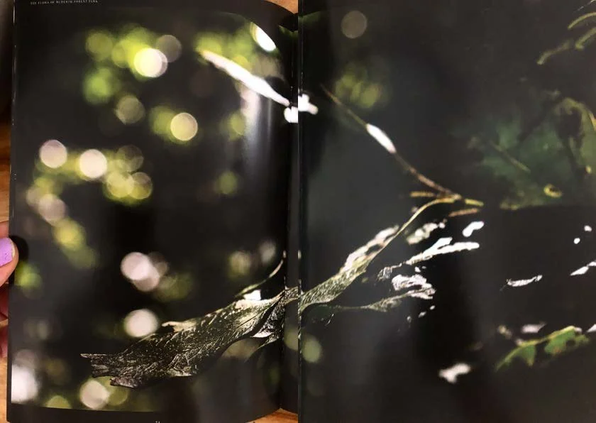 DES212 - TASK 2 - THE FUTURE OF PRINT - MARLEY POLOWYJ-STEPHEN - 1096267_Page_20.jpg