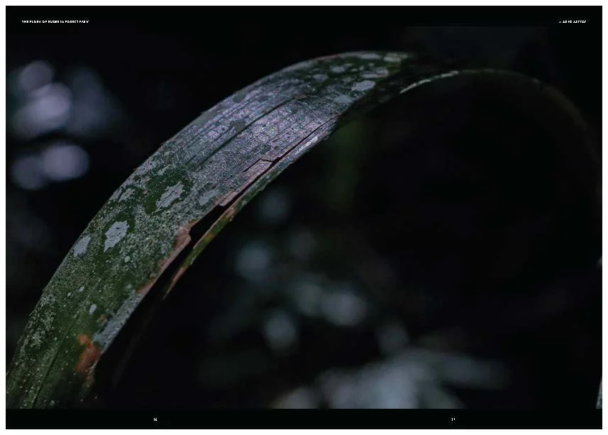 DES212 - TASK 2 - THE FUTURE OF PRINT - MARLEY POLOWYJ-STEPHEN - 1096267_Page_59.jpg