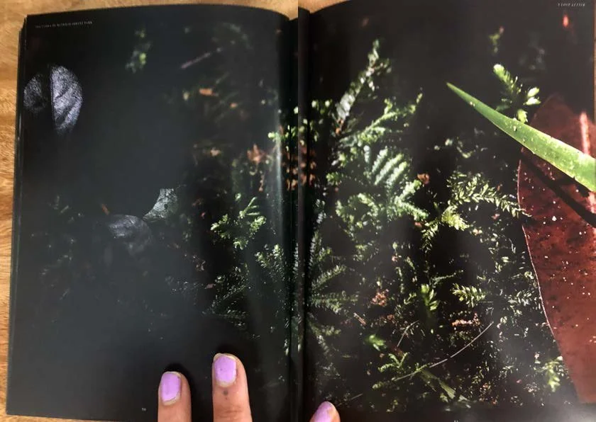 DES212 - TASK 2 - THE FUTURE OF PRINT - MARLEY POLOWYJ-STEPHEN - 1096267_Page_33.jpg